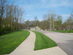 Lot 58 view