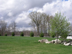Lot 14 view