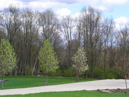 Lot 55 view