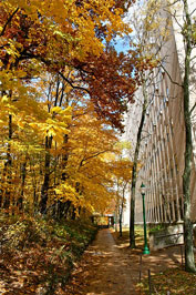 Fall on the Indiana University campus.
